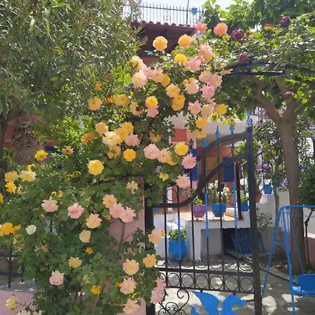 Mitselo ניאה פלאגיה