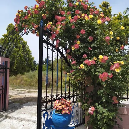 Mitselo Apartment