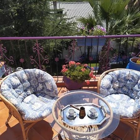 Apartment Mitselo