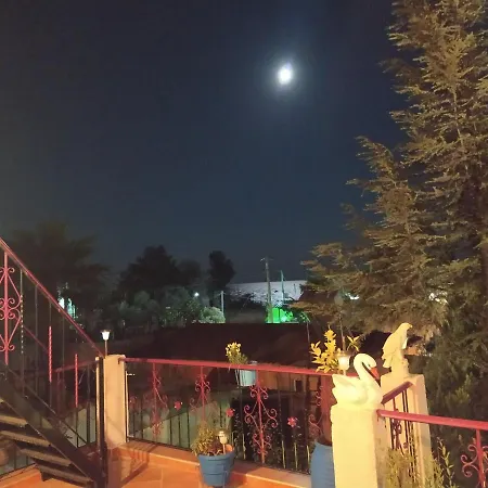 Mitselo