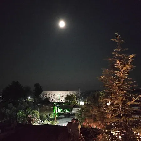 Mitselo Nea Plagia